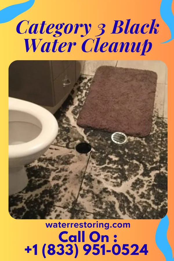 Category 3 Black Water Cleanup in Silverton, OR