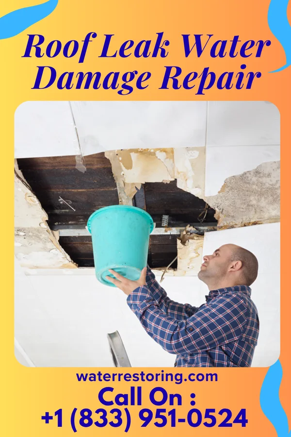 Roof Leak Water Damage Repair in Silverton, OR